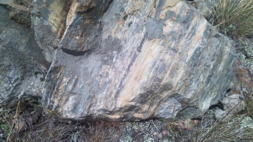 Гигантские зелёные валуны для ландшафтного дизайна весом более 5 тонн купить в Коркино